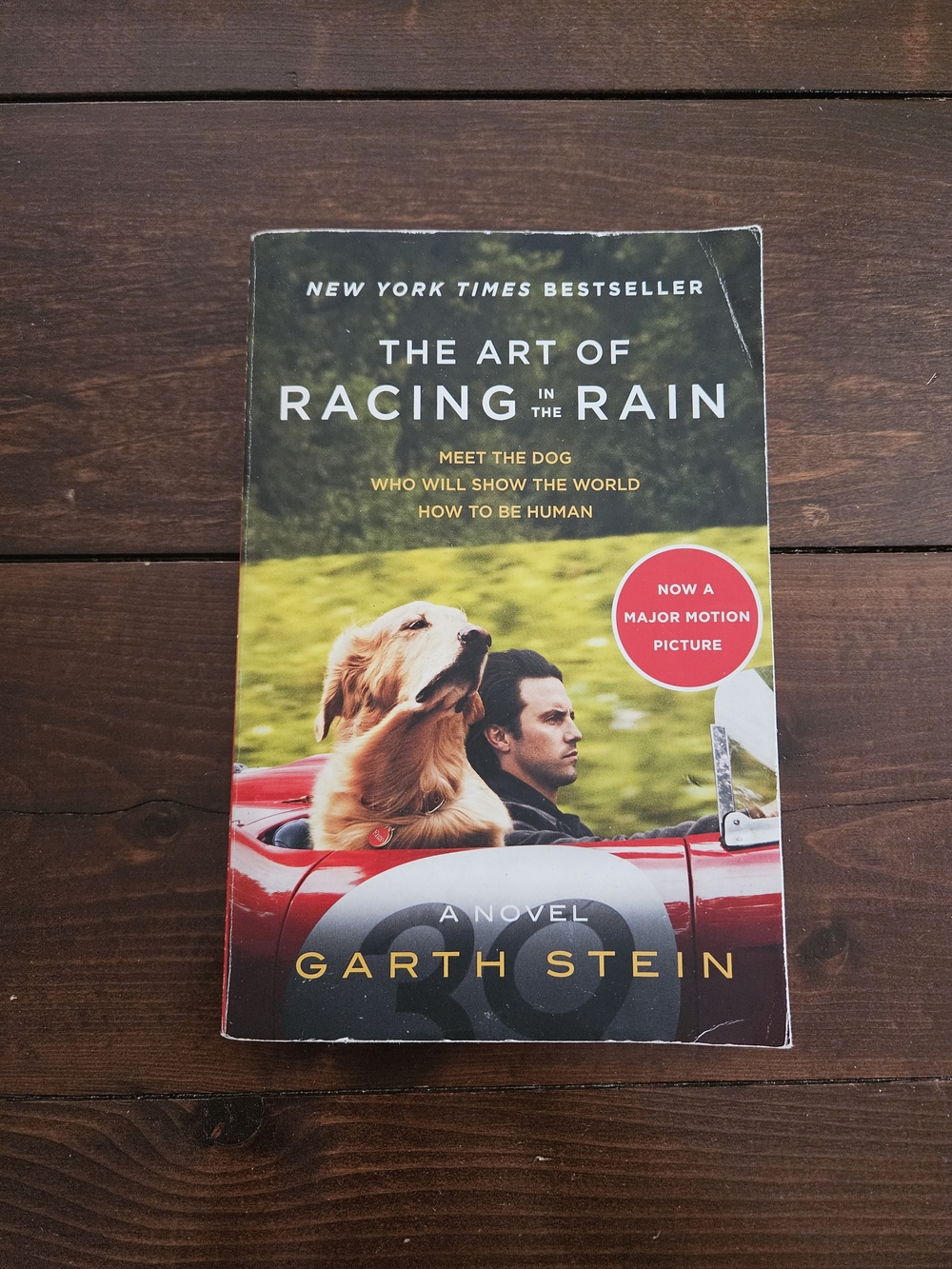 The Art of Racing in the Rain by Garth Stein Paperback Acceptable Condition